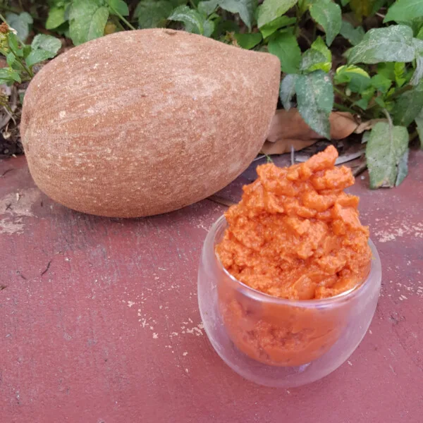 Mamey Sapote Nice Cream