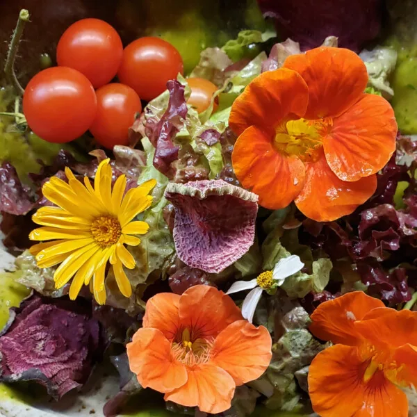 Mango Tamarillo Dressing