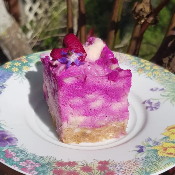Soursop Cheesecake
