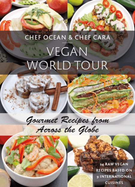 World Tour - Recipe eBook by Chef Ocean